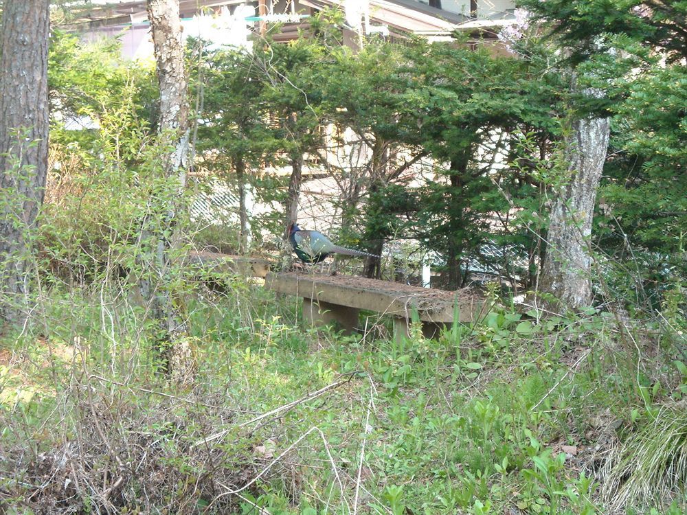 Hida Gasshoen Takayama  Ngoại thất bức ảnh